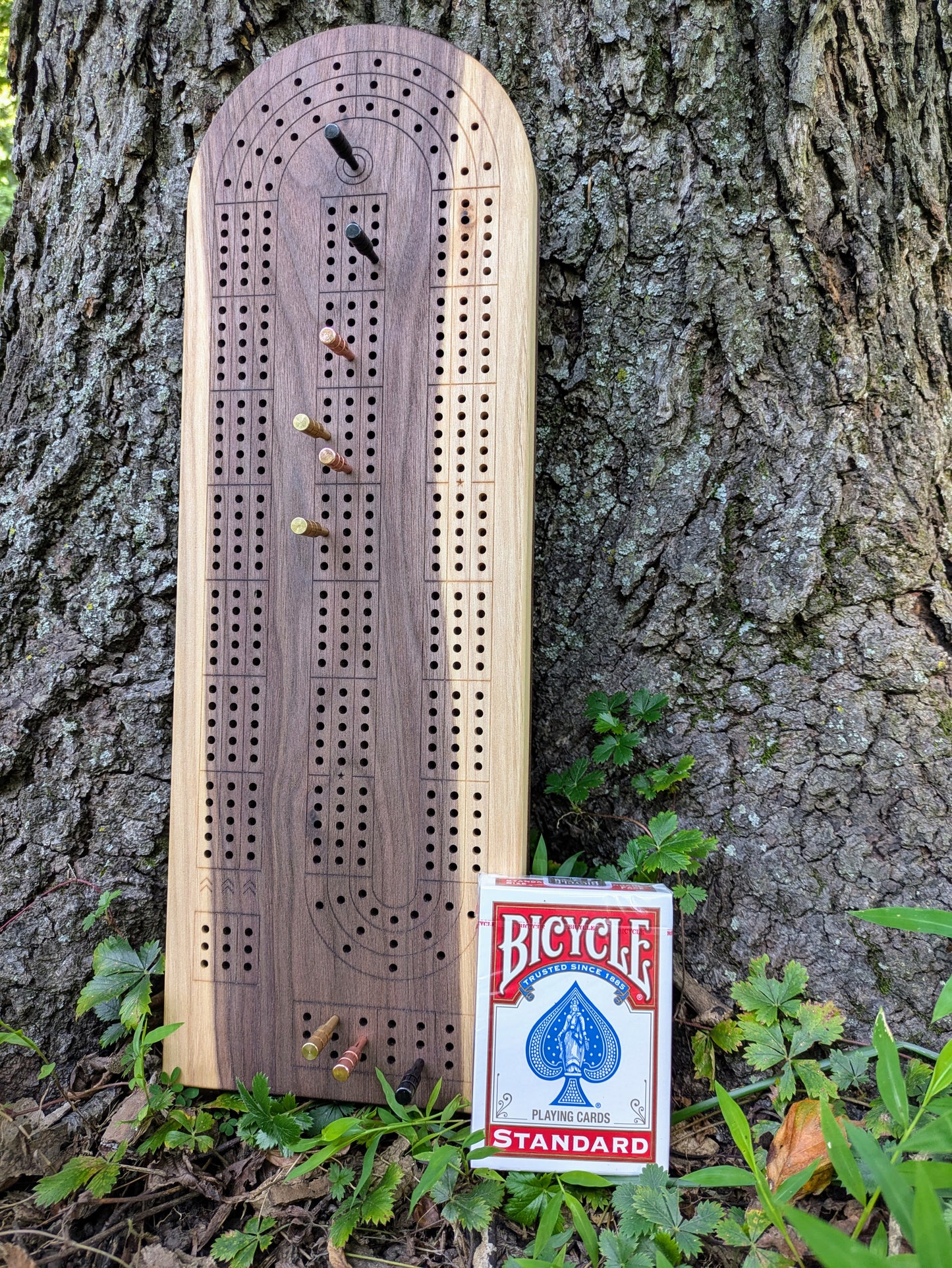 Cribbage board - Black Walnut with Sapwood (Board A)