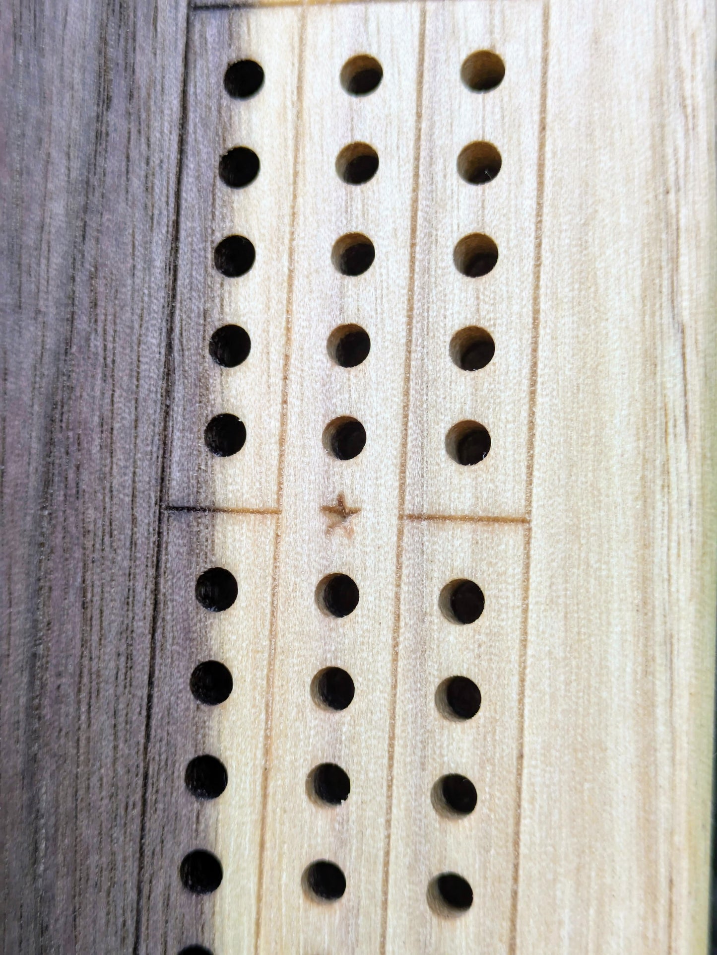 Cribbage board - Black Walnut with Sapwood (Board A)