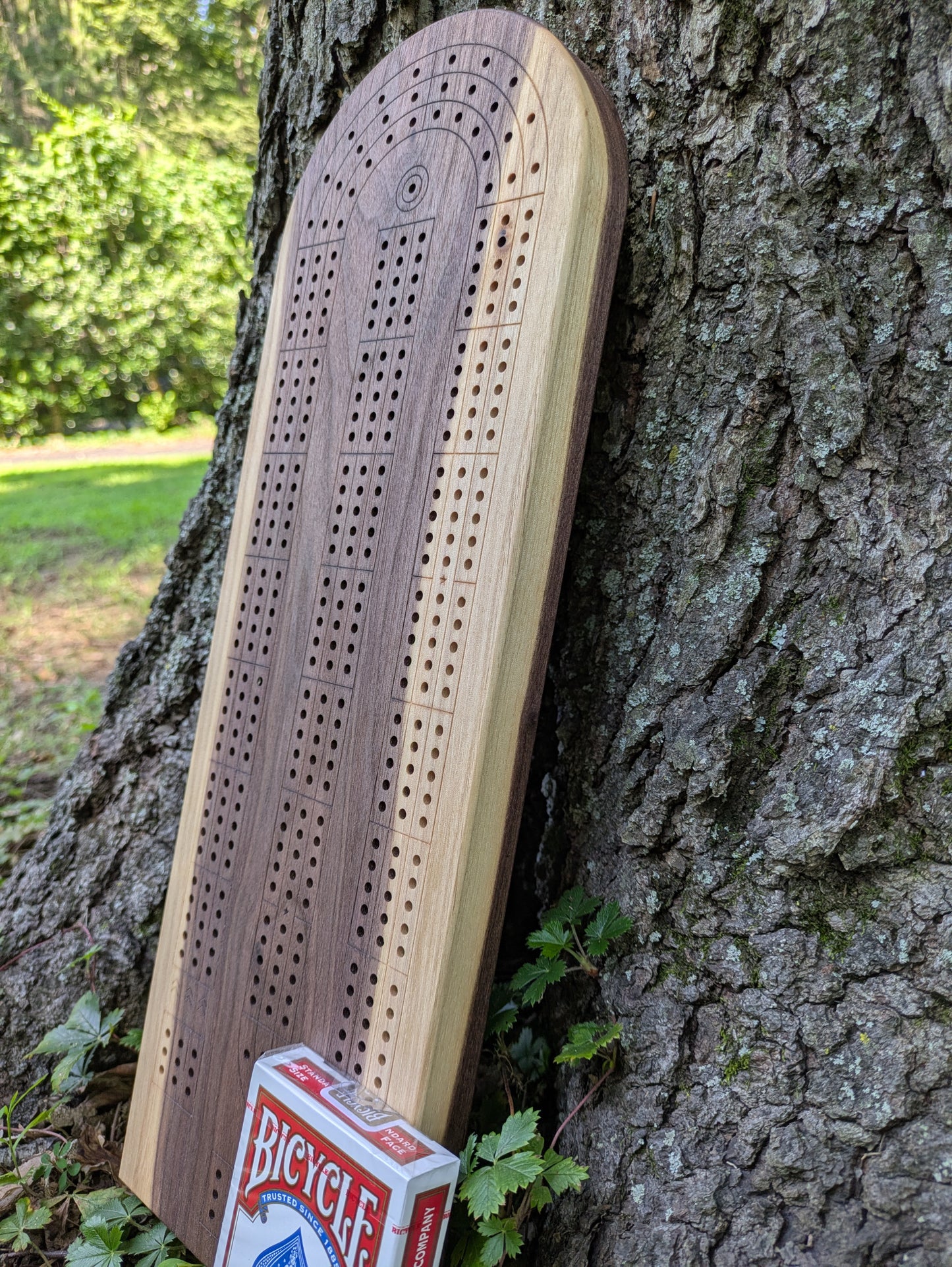 Cribbage board - Black Walnut with Sapwood (Board A)