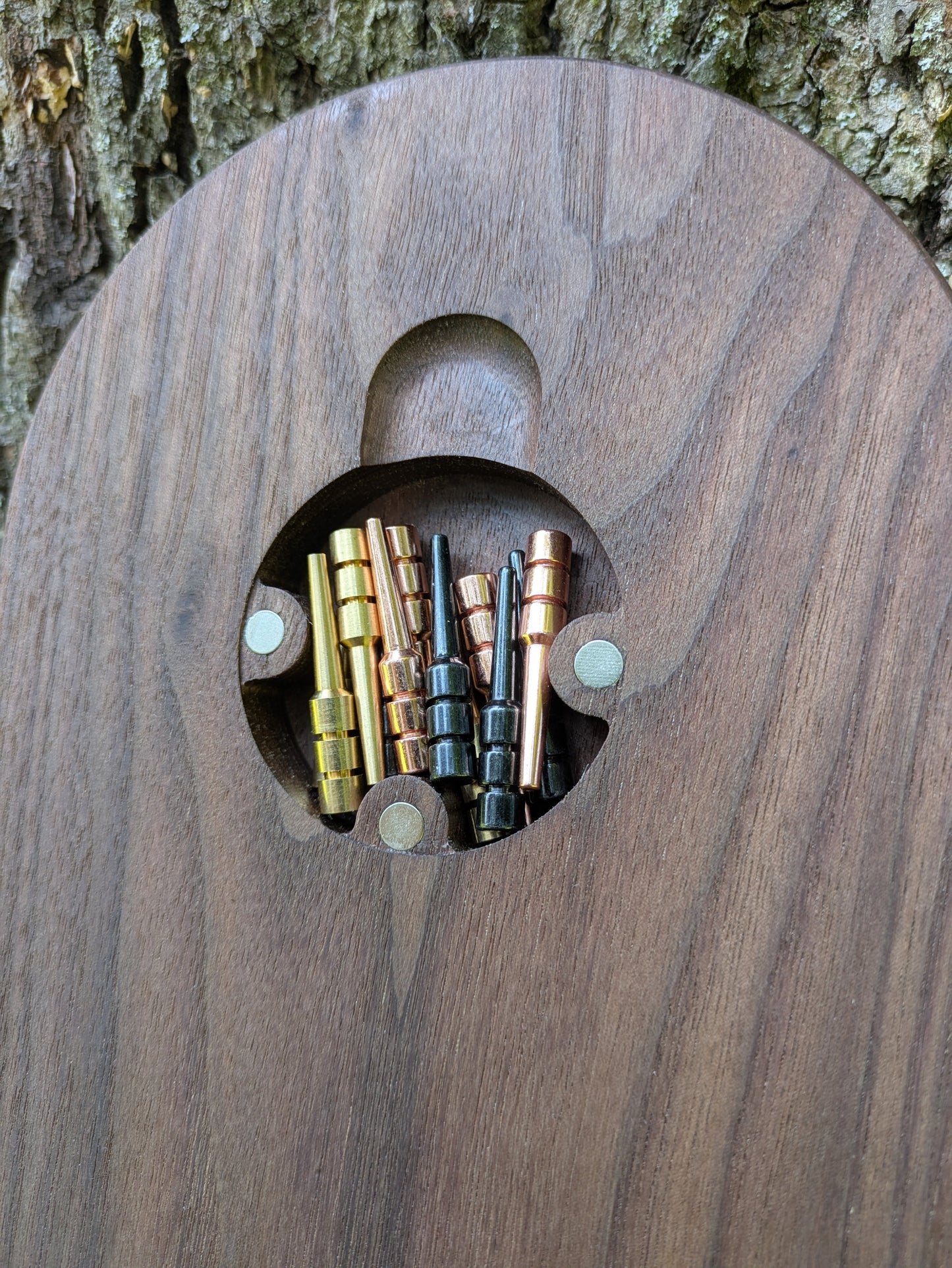 Cribbage board - Black Walnut with Sapwood (Board A)