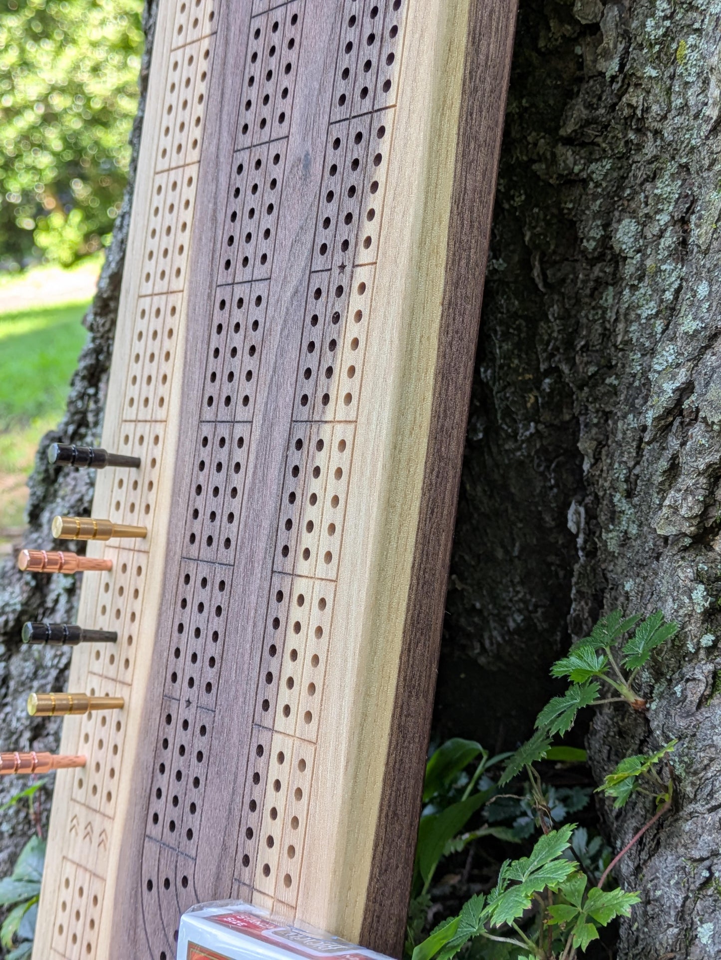 Cribbage board - Black Walnut with Sapwood (Board B)