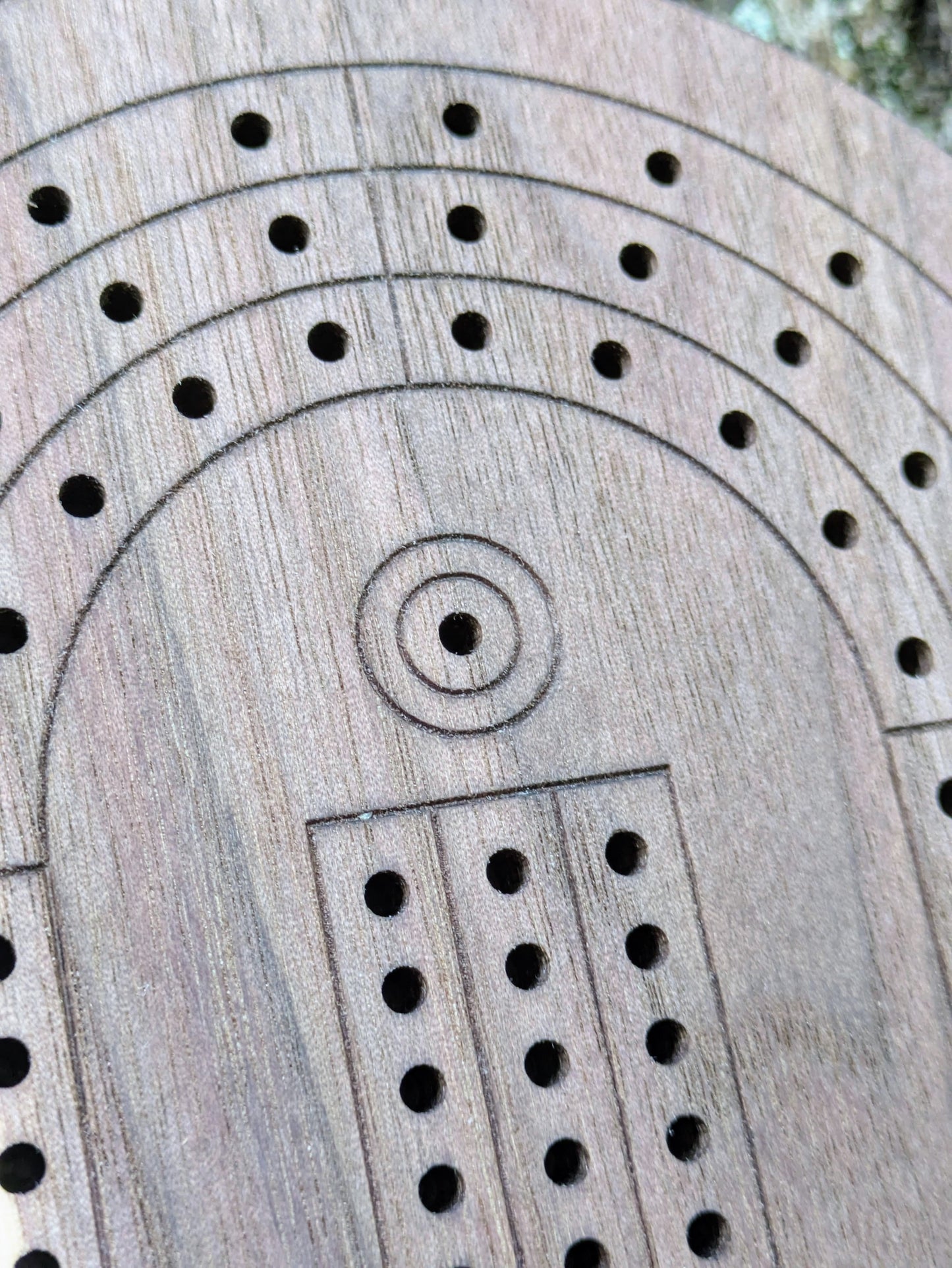 Cribbage board - Black Walnut with Sapwood (Board B)