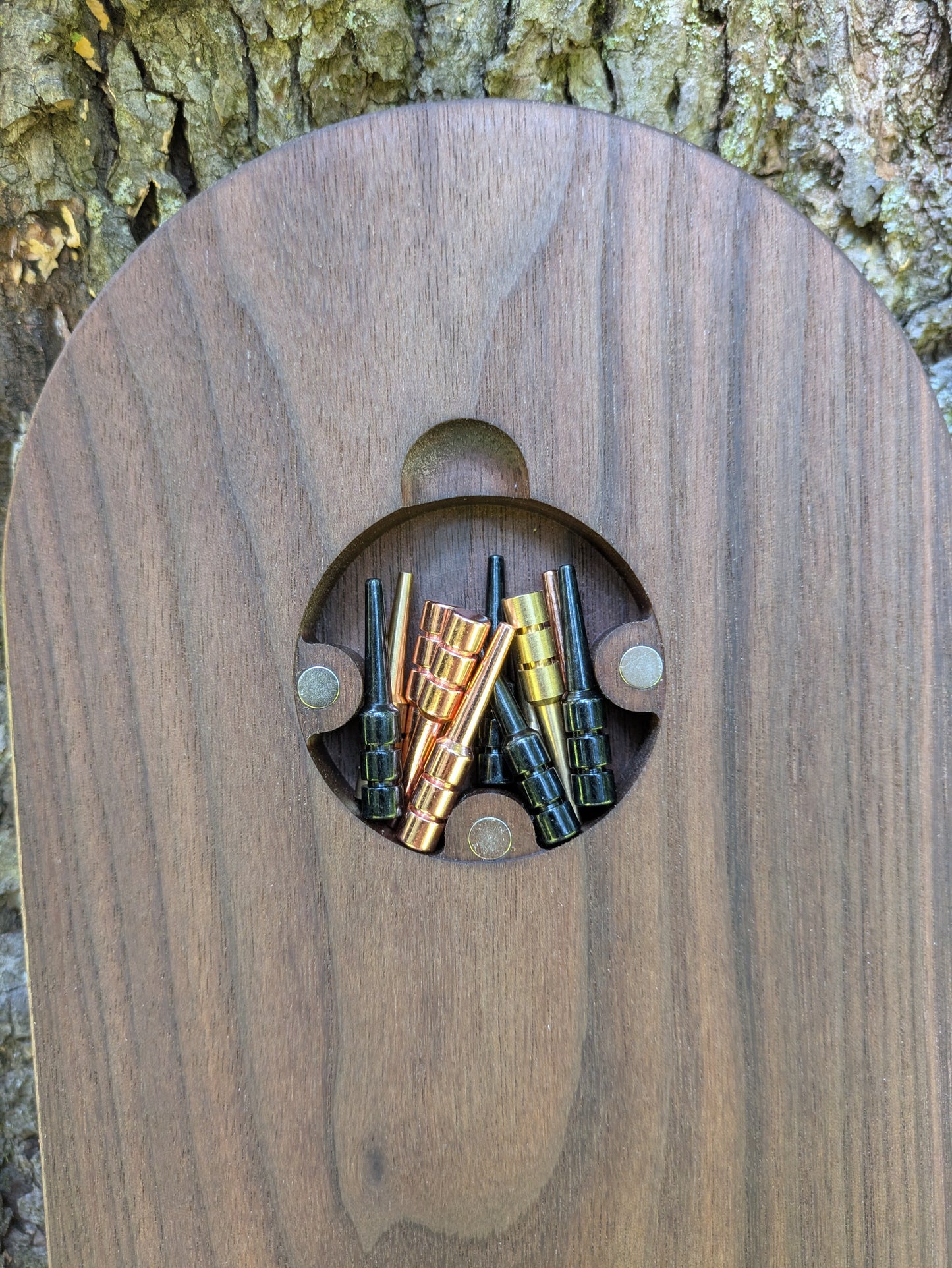 Cribbage board - Black Walnut with Sapwood (Board B)