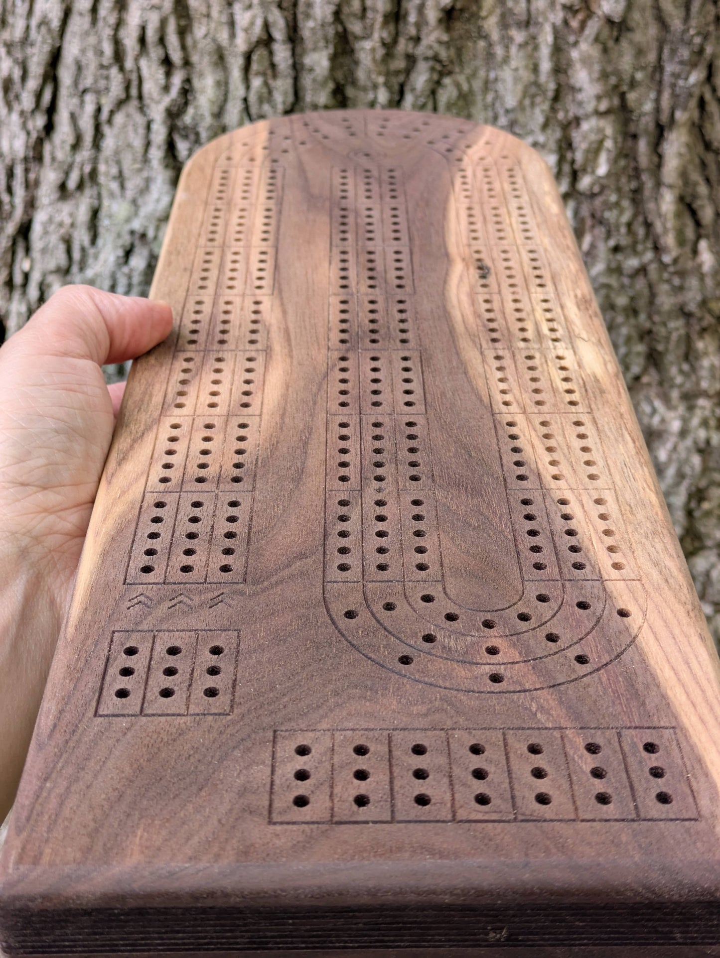 Cribbage board - Black Walnut with Sapwood