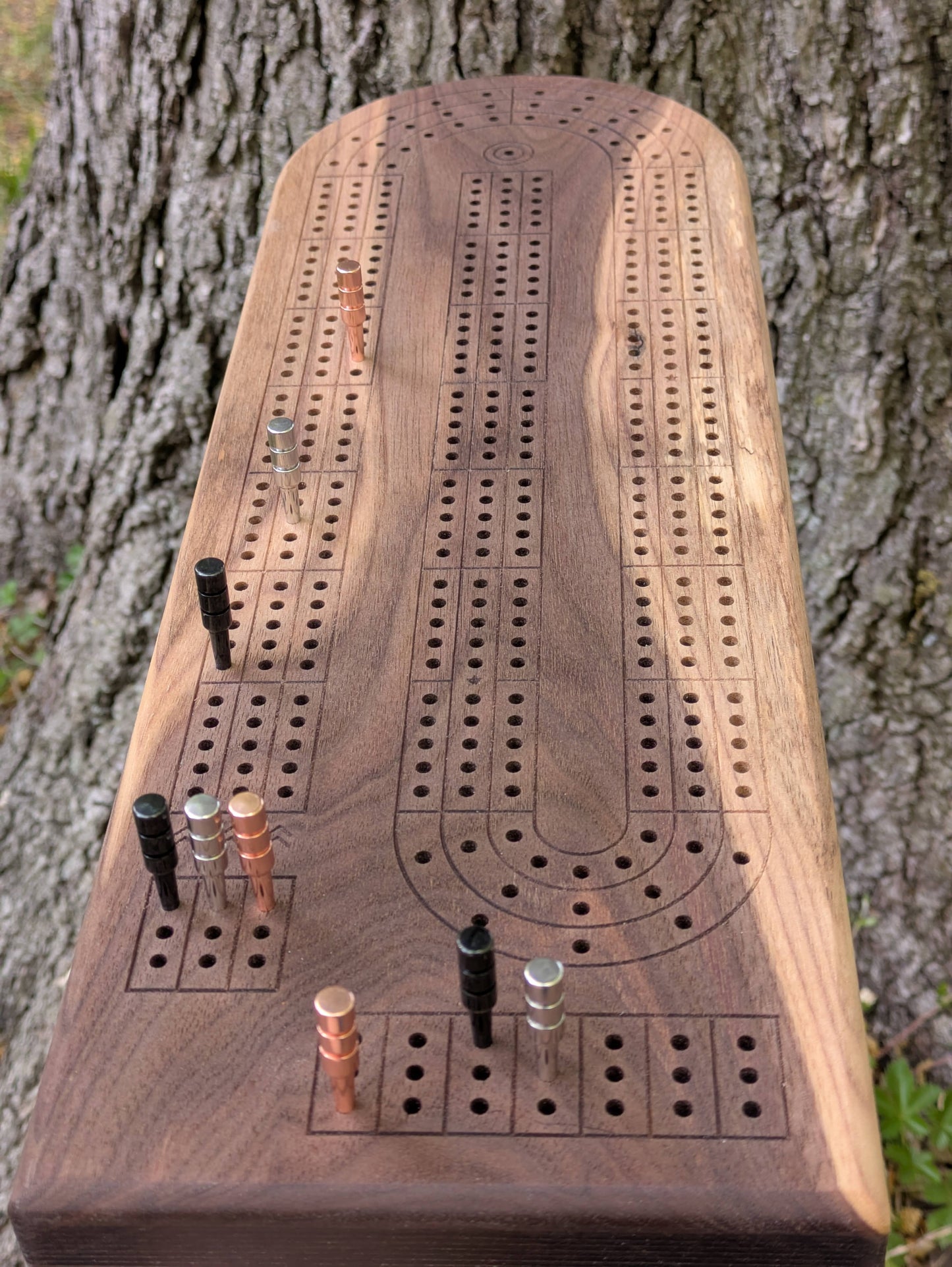 Cribbage board - Black Walnut with Sapwood