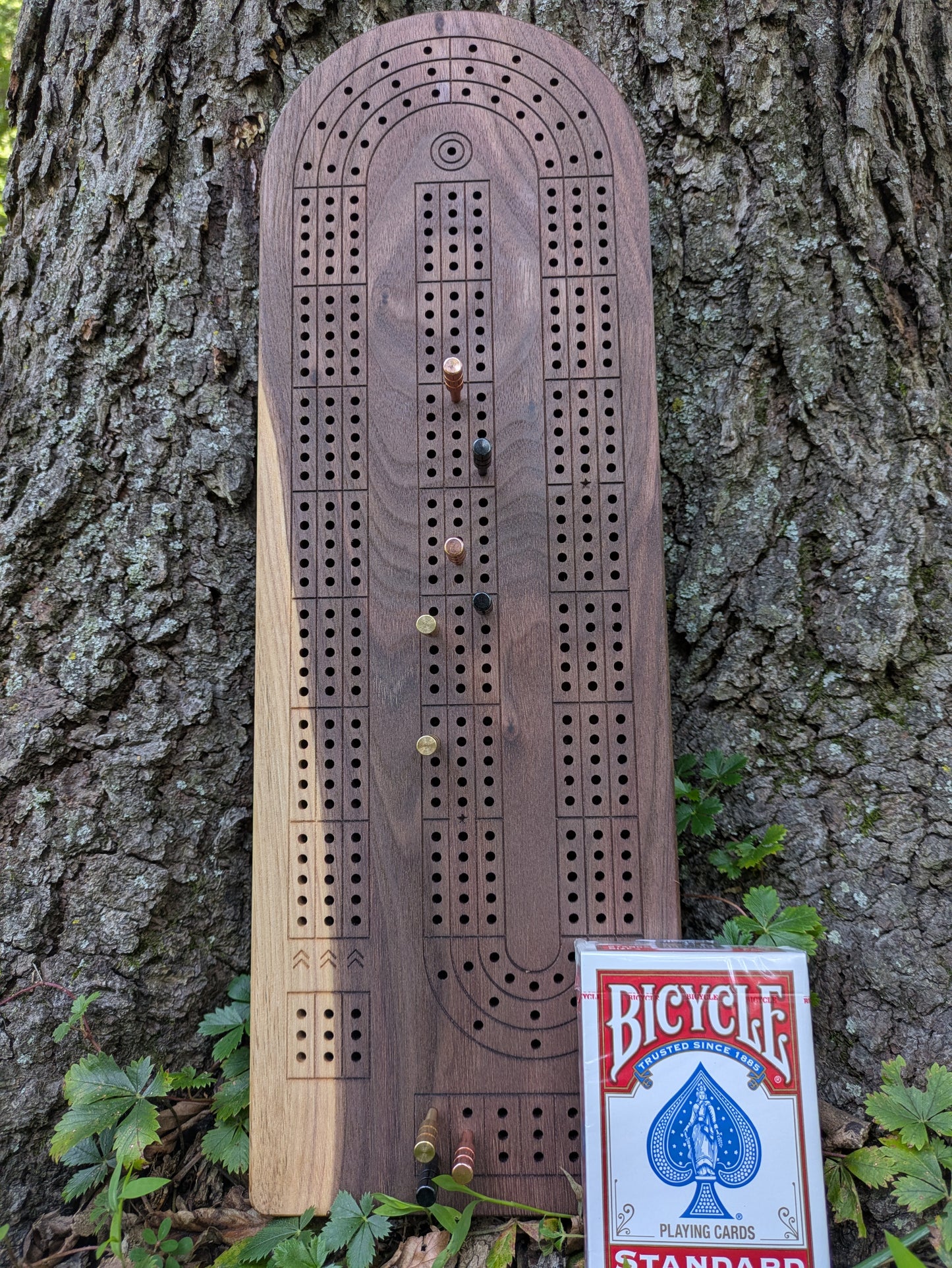 Cribbage board - Black Walnut with Sapwood (Board C)