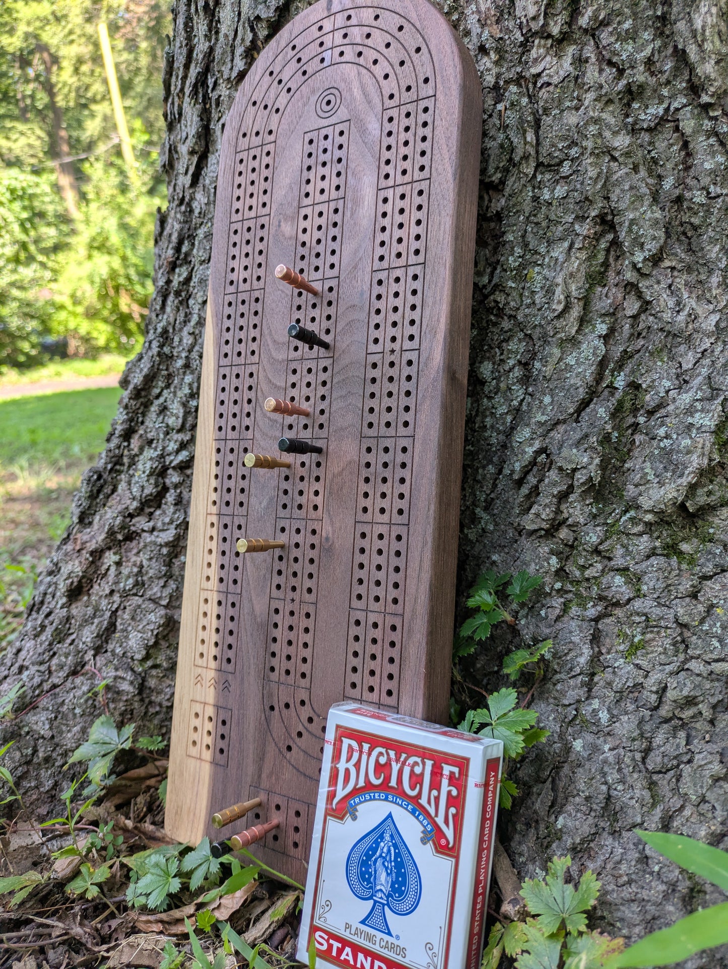 Cribbage board - Black Walnut with Sapwood (Board C)