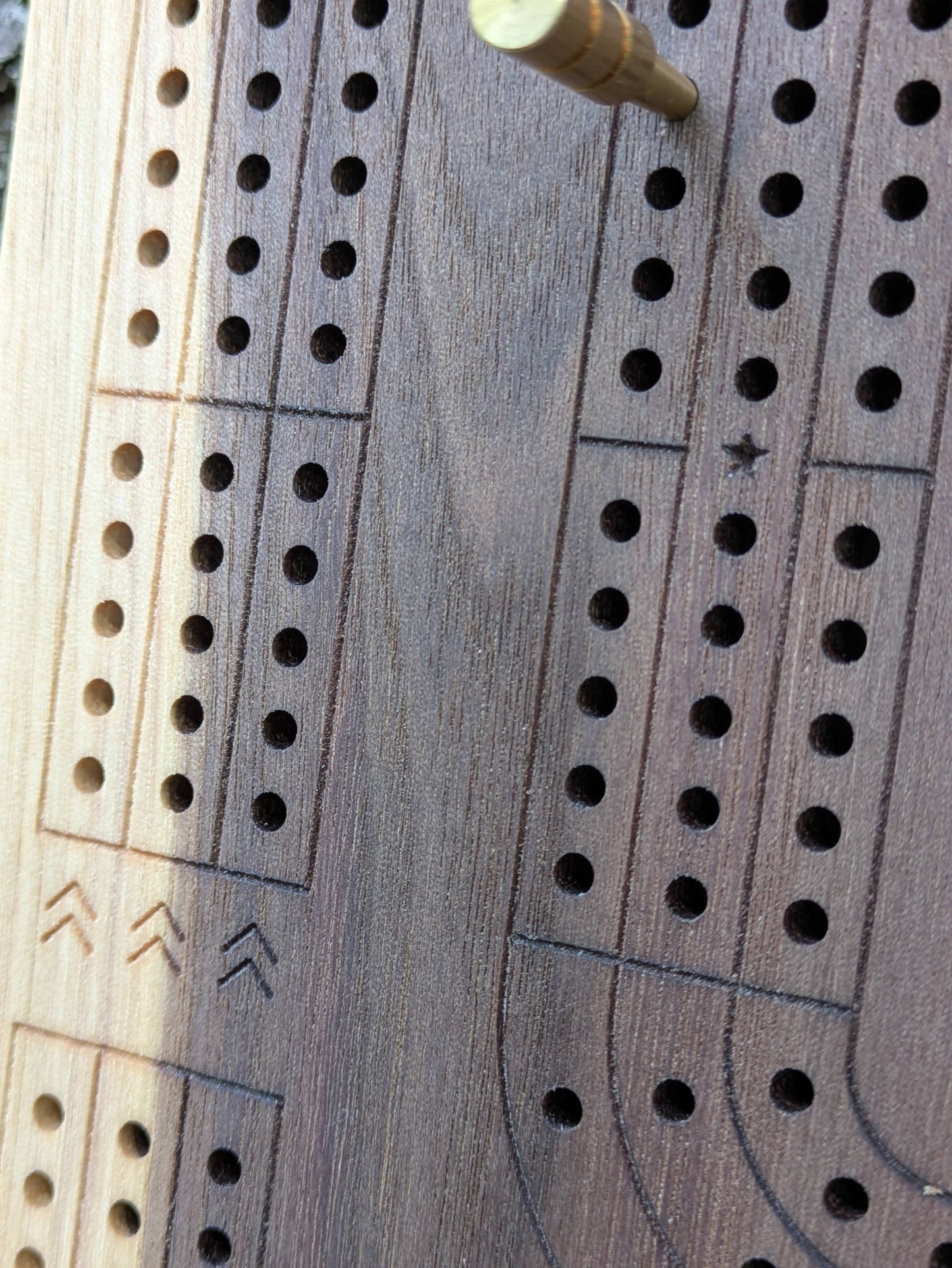 Cribbage board - Black Walnut with Sapwood (Board C)