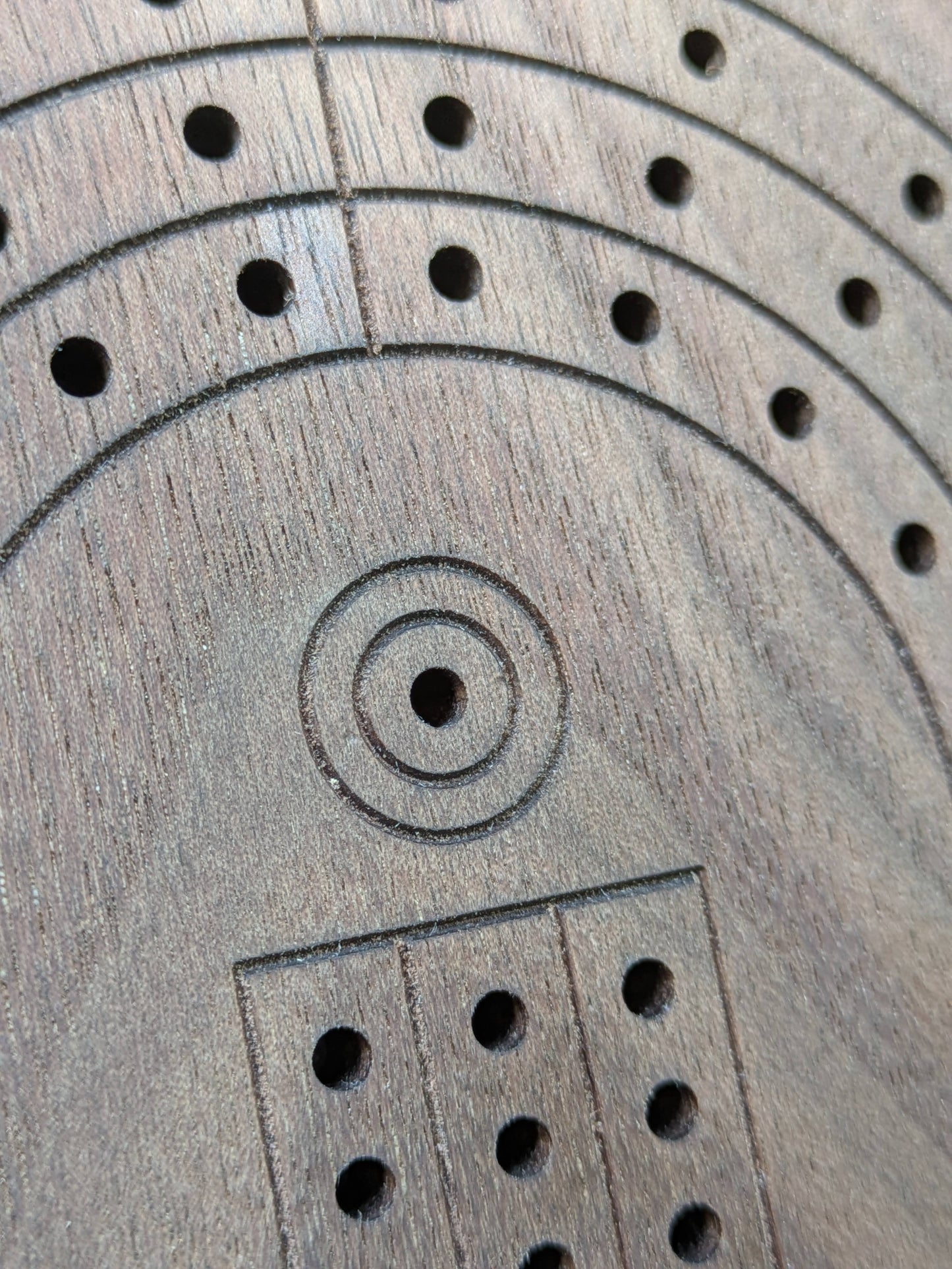 Cribbage board - Black Walnut with Sapwood (Board C)