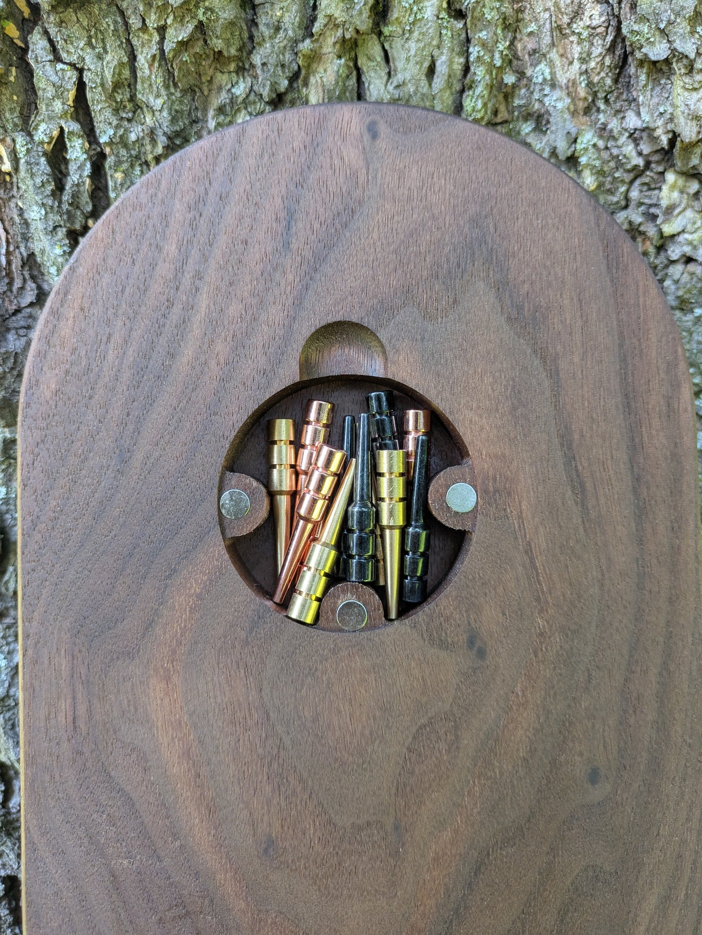 Cribbage board - Black Walnut with Sapwood (Board C)